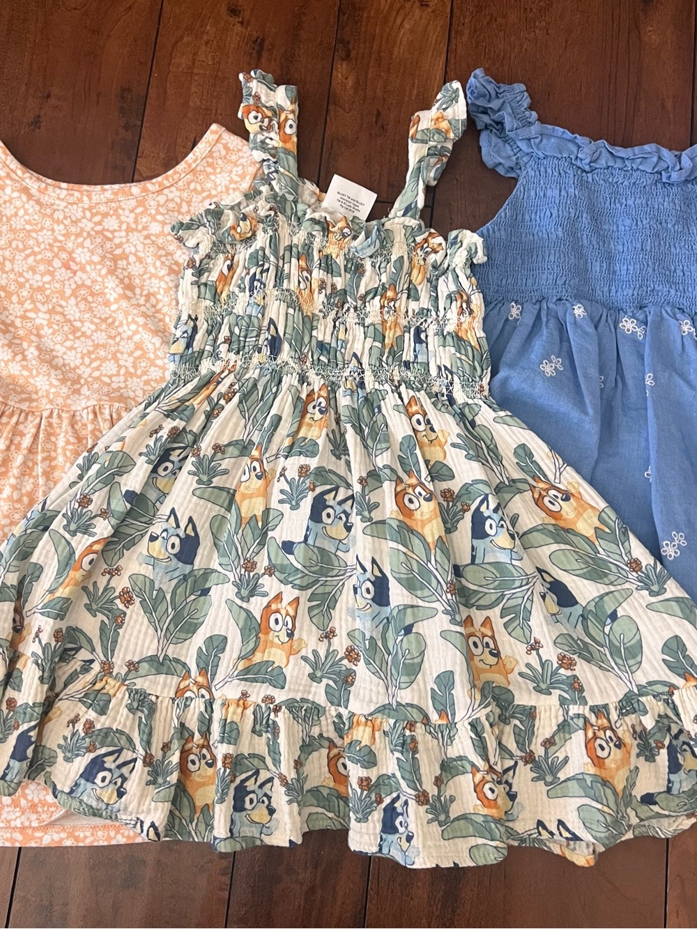 Toddler Girls 4T Sundress Bundle with Bluey & Florals